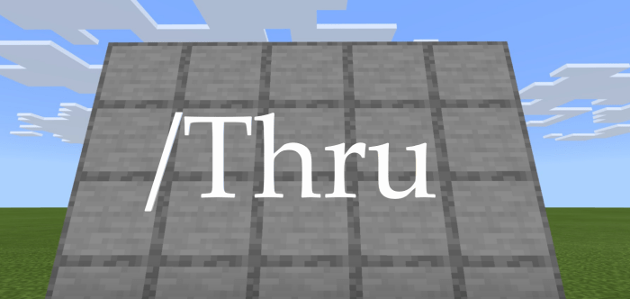 Function Thru for 1.21.80+ Add-on 1.21+