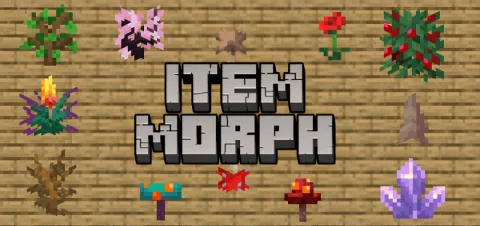 Item Morph Add-on 1.21+/1.20+