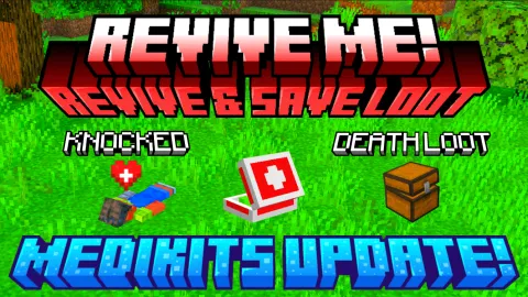 Revive Me! Revive & Loot Saver Chest Add-on 1.21+