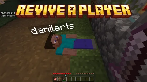 Revive a Player Add-on 1.21+