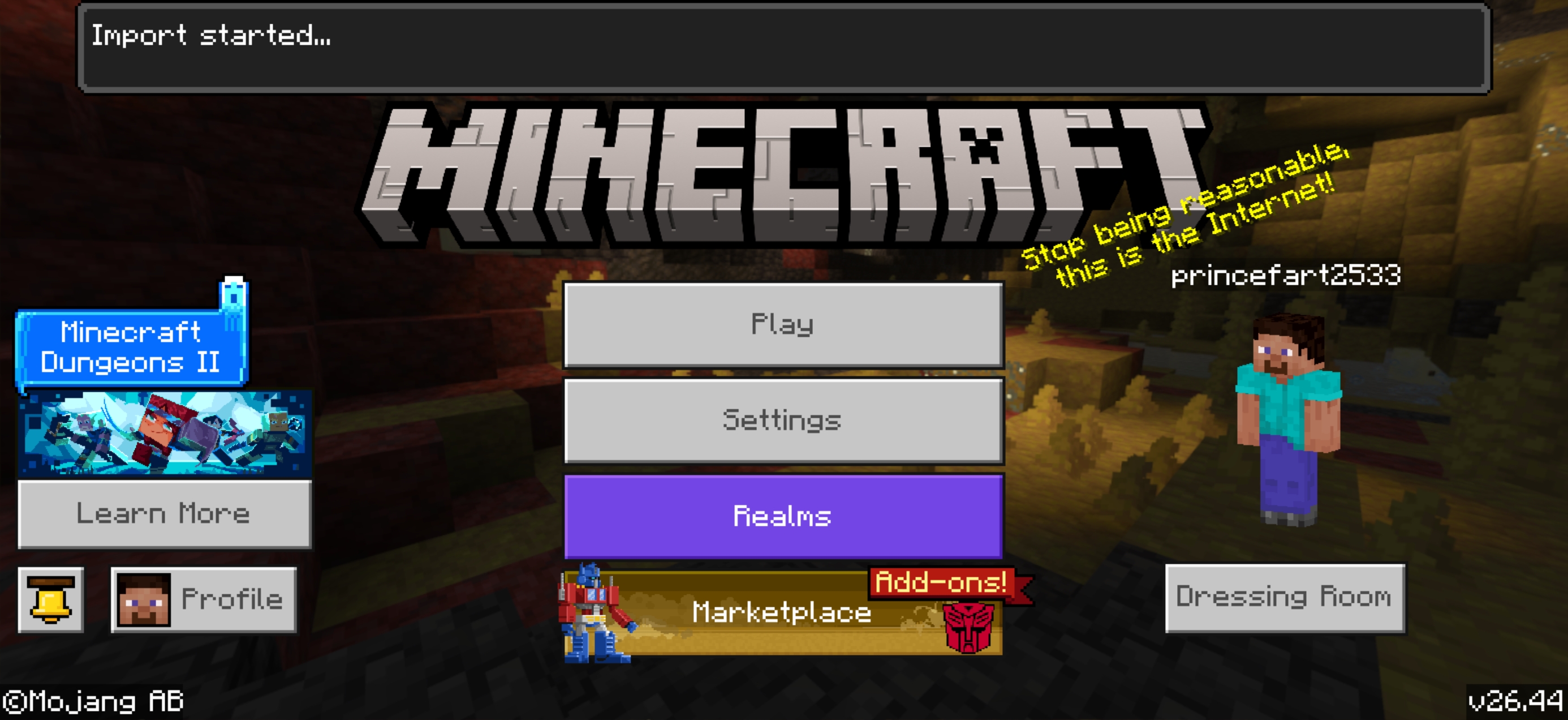 Minecraft import started screen